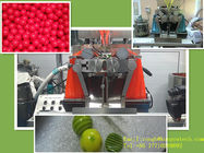 Машинное оборудование лаборатории фармацевтическое для масла машины заключения Softgel и жидкостной капсулы