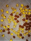 Пластмасса качества еды/поднос и вагонетка металла для сушить конфету капсулы