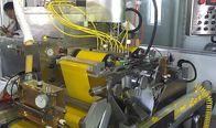 Производственная линия пейнтбола большого диапазона машины заключения пейнтбола нержавеющей стали