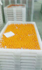 Анти- высокий материал pe подносов засыхания Temprature пластиковый для сушить замерзая выпечку