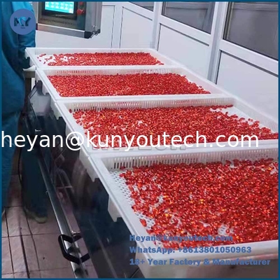 Качество  Food Grade Plastic tray and trolly with size 750*550*45 for drying in discoult Фабрика