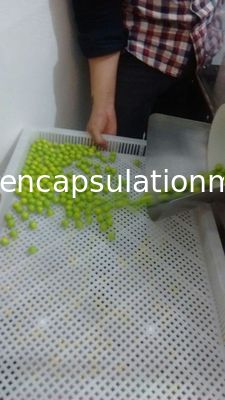 Подносы PP Stackable суша/штабелируя подносы для сушить пейнтбол/Softgel