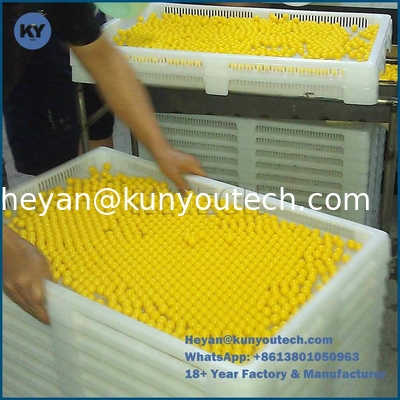 Машина пейнтбола 0.5KW сортируя