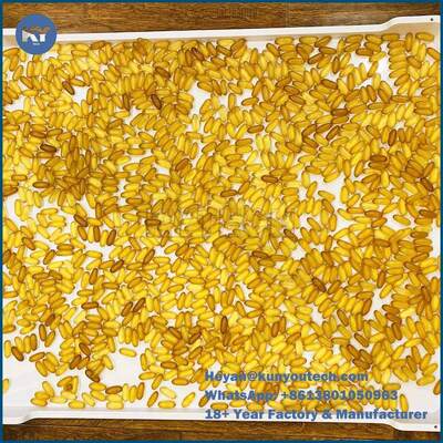 Крупноразмерные 78*50*6cm пластиковые суша подносы Softgel анти- высокое Temprature