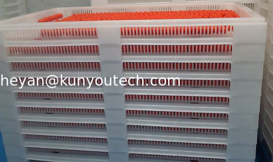 Подносы белого качества еды Stackable пластиковые/охлаждая поднос 762*495*55mm