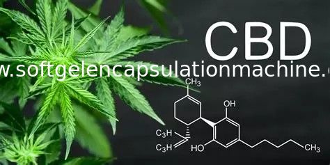 Машина заключения капсулы Softgel масла CBD с нижним УПРАВЛЕНИЕМ ПО САНИТАРНОМУ НАДЗОРУ ЗА КАЧЕСТВОМ ПИЩЕВЫХ ПРОДУКТОВ И МЕДИКАМЕНТОВ датчика RTD одобрила