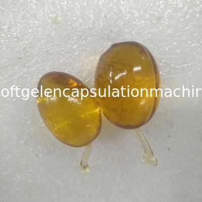 Машина капсулы Softgel рыбьего жира масштаба 10 дюймов большая/машина S610 заключения