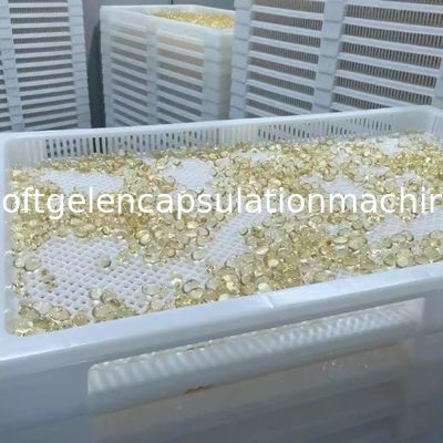 Машина заключения Softgel рыбьего жира ПК размера 120000 1208 * 2450mm/h