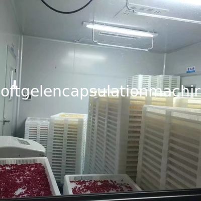 заключение 880 x 640 x 1900mm желатина машины пейнтбола 18000P 7KW мягкое