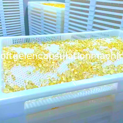 Небольшая машина заключения рыбьего жира 12000pcs/H Softgel начала