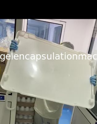 Продукция заключения желатина частей машины завалки капсулы SS316 мягкая