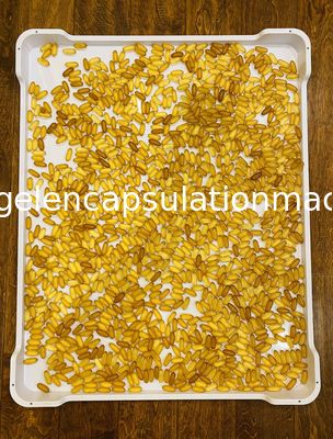 Подносы CE 5cm PPE ABS PP плоские нижние пластиковые суша для засыхания капсулы