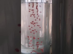 Машина заключения оливкового масла 13kw Softgel масла Canabis