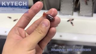 Машина для капсулирования мягких капсул с сервоприводом в форме рыбы